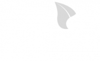 AllKlean-logo-white-dkbg